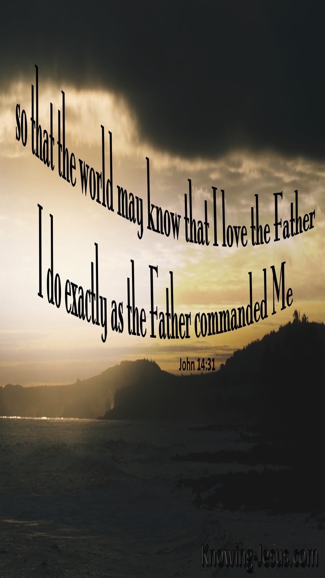 John 14:31 I Do Only As The Father Commands (gray)